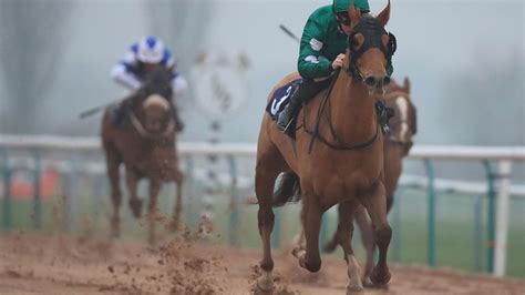 southwell horse racing results|Southwell Race Results .